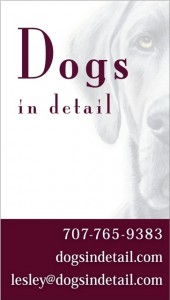 custom portraits of dogs, lesley zoromskis business card