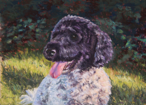 pastel painting of labradoodle