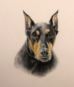 dog painting, doberman pinscher