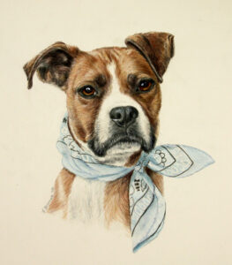 boxer dog custom art