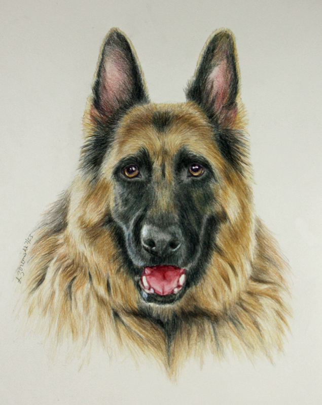 Drawing Dog German Shepherd Dog Water Stock Illustration 263106683 |  Shutterstock