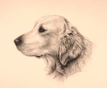 graphite dog commissions