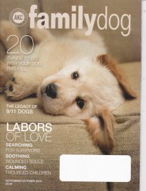 news articles in AKC Family Dog article