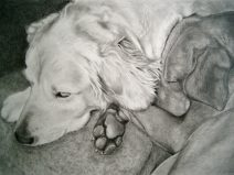 graphite portrait of dogs sleeping