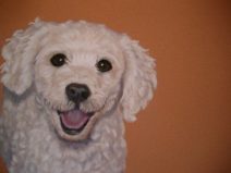 Pastel of Poodle/Jack Russell mix breed done in pastel