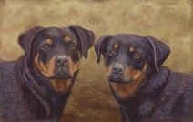 pastel painting of two rottweilers