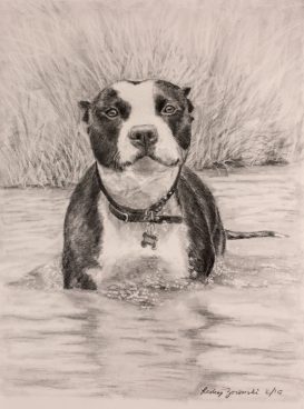 anniversary gift graphite dog commission portrait of pitbull