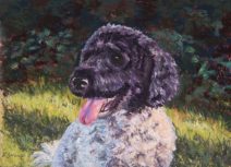 pastel painting of labradoodle